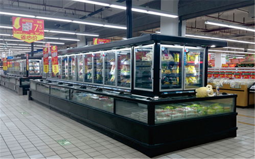 廣東冷凍柜廠家 比斯特專(zhuān)業(yè)冷凍柜 熟食冷凍柜廠家直銷(xiāo)高清圖片 高清大圖